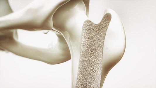 国康骨密度仪厂家提示应注意骨密度数据按时进行复查防止骨质疏松