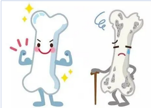 最新开云APP提前预知骨骼健康