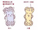 便捷式骨密度测试仪的价格多少钱一台？地方卫生院如何选择呢？